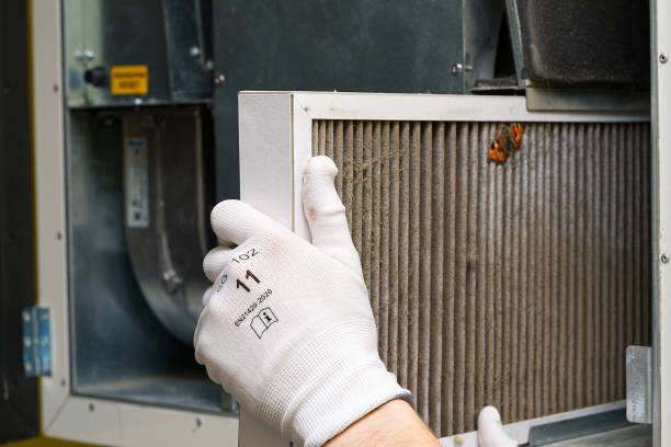 Best Emergency Air Duct Cleaning  in Grant, AL